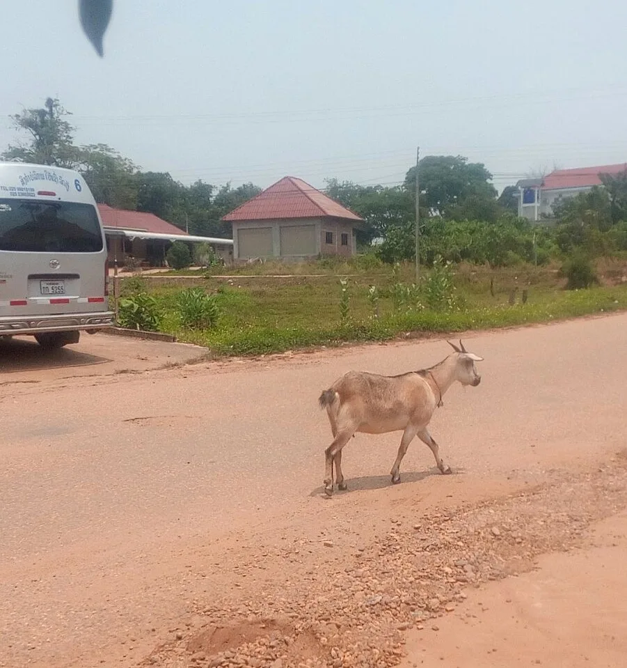 19th: A Laotian Travel History