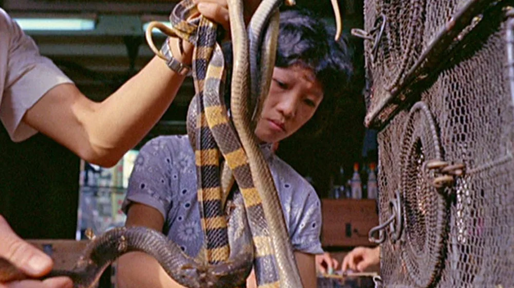 image from mondo cane film