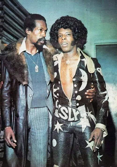 Sly Stone: The Revolutionary Pioneer Who Transformed Black Music Forever